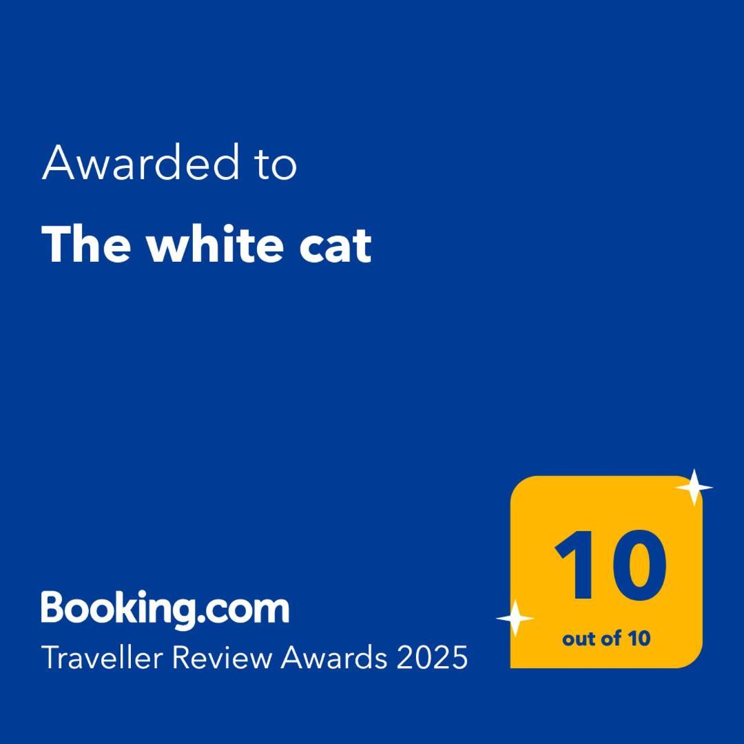 The White Cat Villa Nápoly Kültér fotó